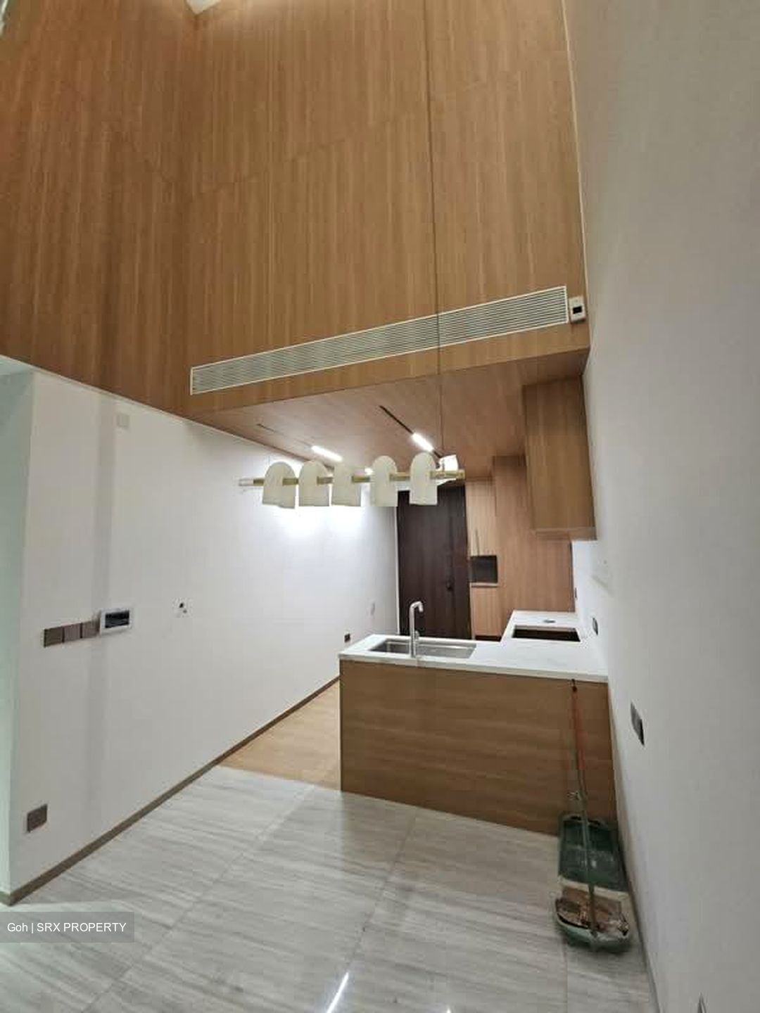 Leedon Green (D10), Condominium #587240081